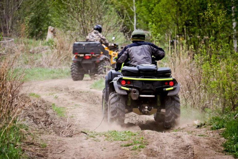 Two ATV riders are driving on a dirt path through the woods. Green trees, shrubs, and dry twigs surround the path.