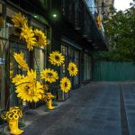 A welcoming, well-maintained storefront decorated with multiple arrangements of bright yellow sunflowers.
