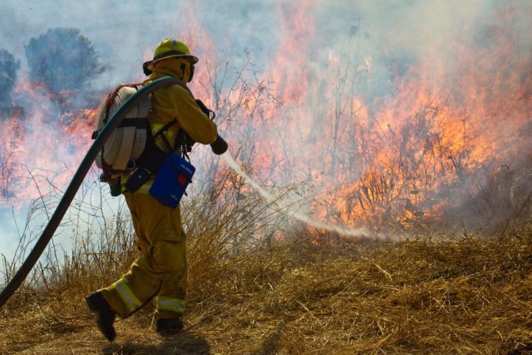 A wildland firefighter wearing yellow protective equipment walks around a brush fire while carrying a hose.