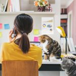 A woman is sitting at a desk with a phone pressed against her ear. There is a cat on the desk sitting next to her.