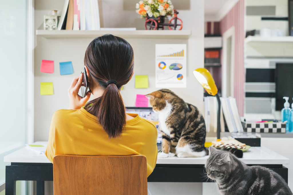 A woman is sitting at a desk with a phone pressed against her ear. There is a cat on the desk sitting next to her.