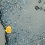 Asphalt is broken up and there is standing water. There is a leaf next to the puddle in the asphalt.
